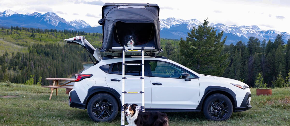 Road Trip through Banff National Park with North Campervans